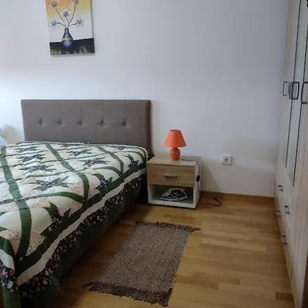 Dana 公寓 索科矿泉村