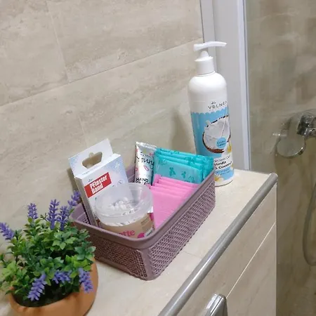 公寓 Dana 索科矿泉村