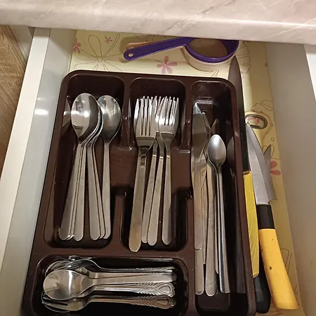 公寓 Dana 索科矿泉村