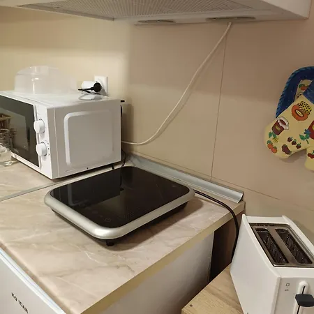 Dana 公寓 索科矿泉村