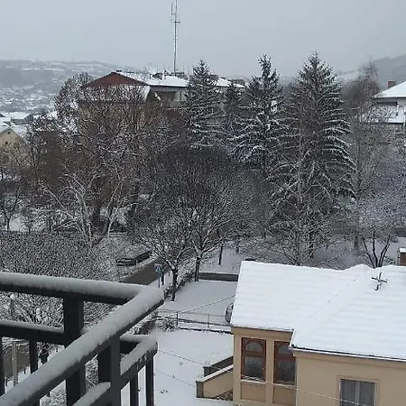 Dana 索科矿泉村