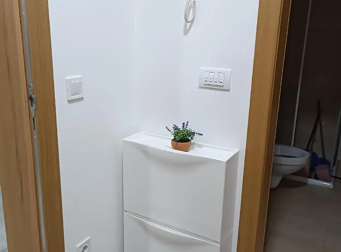 Apartament Dana Sokobanja