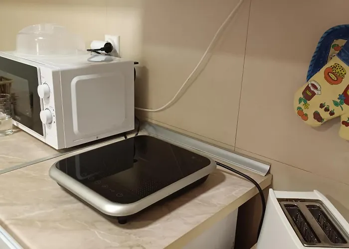 Dana Apartament Sokobanja